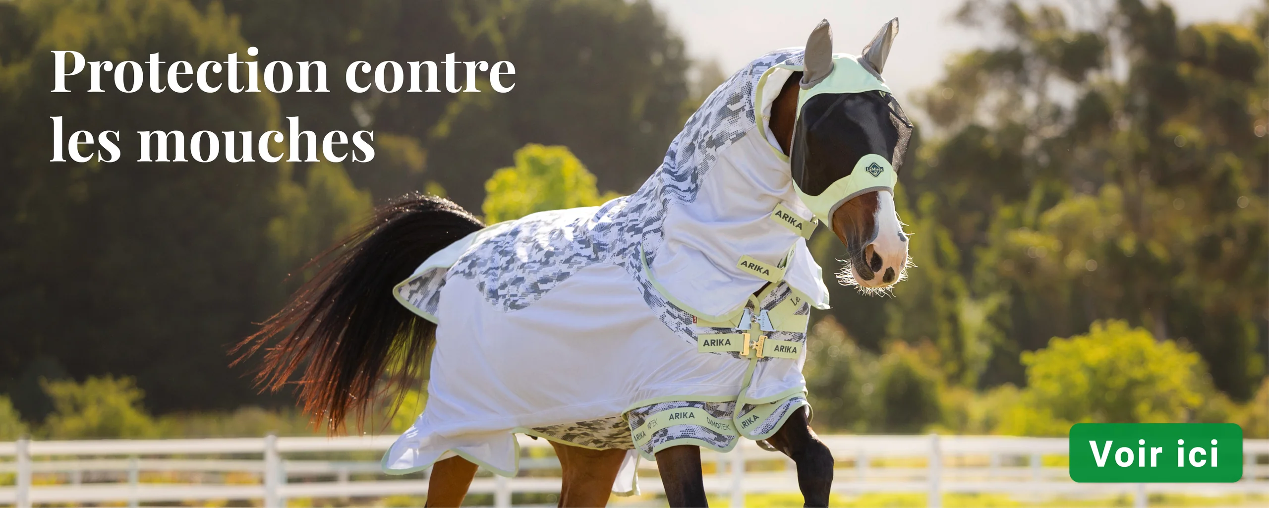 Welcome to Our Store